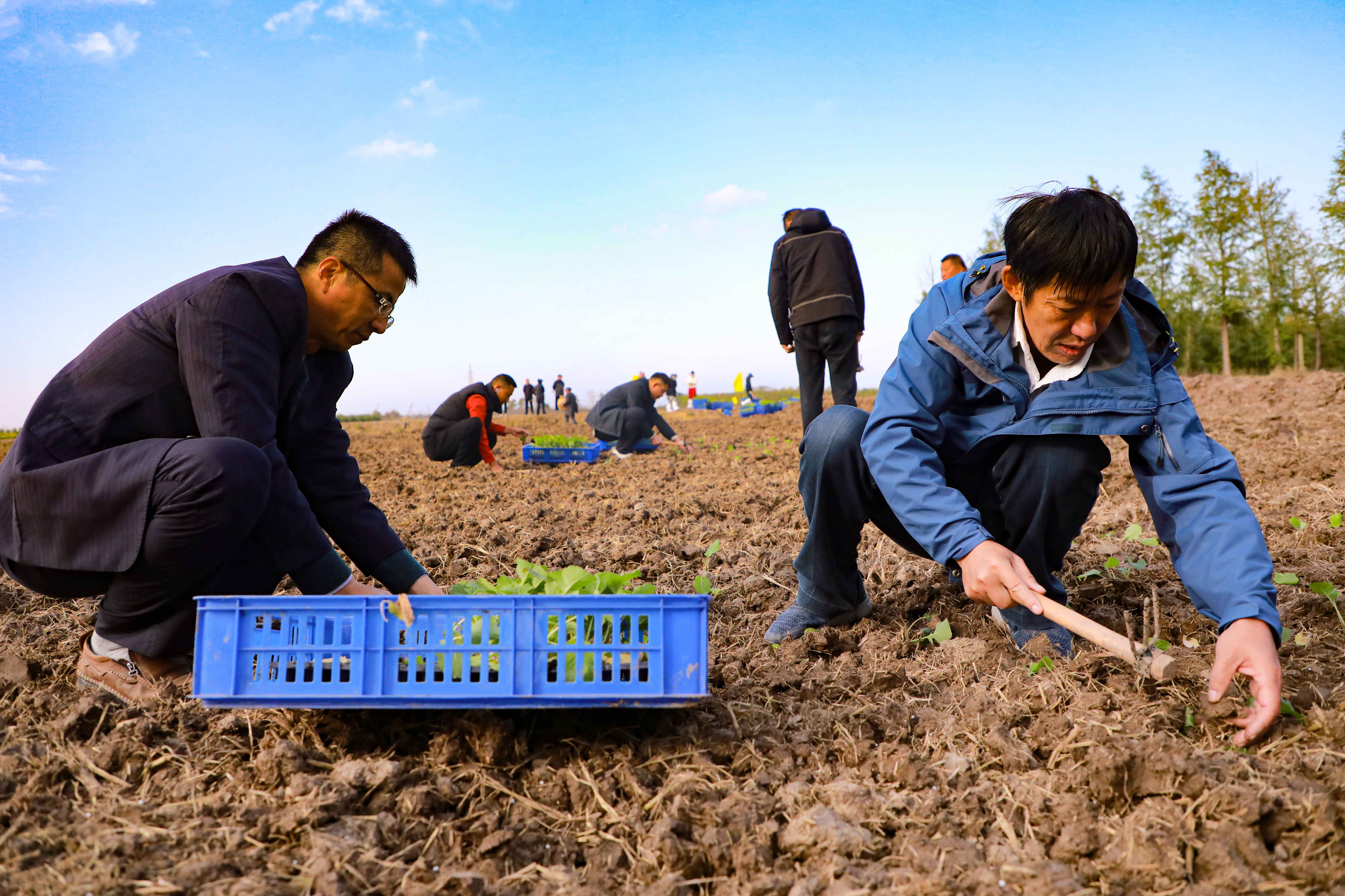 1730786708221567.jpg 20241101 云臺開展2024年勞動競賽活動(1).jpg